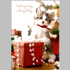 Christmas-Cards-Letters_Updates_Friends-Relatives_2014_05_Josh-Shan-Hoyts.jpg