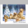 Christmas-Cards-Letters_Updates_Friends-Relatives_2014_07-Cilla_Carpenter.jpg