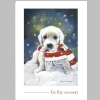 Christmas-Cards-Letters_Updates_Friends-Relatives_2014_25_Linda-Hoyt.jpg