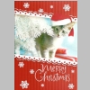 Christmas-Cards-Letters_Updates_Friends-Relatives_2014_27_Dorr-Helen.jpg