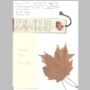 Beckley-Berkey_Bibles-Books-Misc_08.jpg
