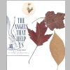Beckley-Berkey_Bibles-Books-Misc_18.jpg