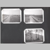 Berkey-Mericle-Loralee_Old-Brown-Album_b-w_0011.jpg