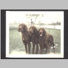 Berkey-Mericle-Loralee_Old-Brown-Album_b-w_0056.jpg