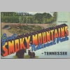 PostCard-Packets_Not-Used_0008.jpg