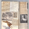 Berkey_Scrapbook_02.jpg