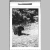 Smokies-Trip_Family_01.jpg
