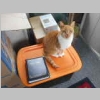 DSCN6576.JPG