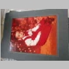 DSCN6579.JPG