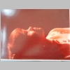 DSCN6585.JPG