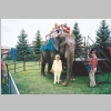 Blanche-Mericle_Kelly-Miller-Circus_Elephant_Belleville-School_0005.jpg
