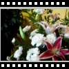Blanche-Funeral-Pictures-027.avi