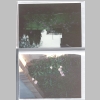 Loralees-Sm-White-Album_Bellville-Trip_1994_0048.jpg