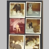 Loralee-Mericle_Wedding-Loralee-Jerry-Stratham-1967_47.jpg