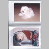 Loralees_Pink-White-Flower-Album_Dierks-Home-NC_1997_0022.jpg
