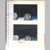 Light-Green-Album_Belleville-Dearborn-MI_June-1986_0019.jpg