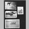Mericle_Family-Lg-Brown-Photo-Album_1940s-1970s_Wht-Blk_0015.jpg