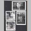 Mericle_Family-Lg-Green-Photo-Album_1940s-1960s_B_0053.jpg