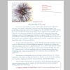 Christmas-Cards-Letters_Updates_Friends-Relatives_2014_12b_Patricia-Watkins.jpg