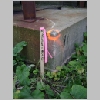 AMC_DSC03564_Survey-Stake-with_824.56-ft-sea-level_near-Cement-Grain-Tower-RR.jpg